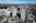 Blurred preview of media: 001