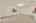 Blurred preview of media: 12