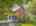 Blurred preview of media: IMG_1195