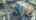 Blurred preview of media: DJI_0109