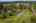 Blurred preview of media: Aerial 08