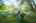 Blurred preview of media: 9 Foster Street Acton Massachusetts Job 39716 (Exteriors) 0001