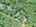 Blurred preview of media: DJI_20250603145736_0728_D_29_D_30_D_easyHDR