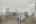 Blurred preview of media: 021