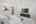 Blurred preview of media: DSC_8896