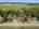 Blurred preview of media: DJI_20250815161753_0005_D
