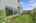 Blurred preview of media: DSC00760