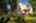 Blurred preview of media: 20250908L_lg_JW0070