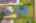 Blurred preview of media: Image-70