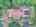 Blurred preview of media: DJI_20260625123139_0471_D_2_D_3_D_easyHDR
