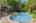 Blurred preview of media: Nerine_020