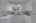 Blurred preview of media: 260110-14