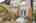 Blurred preview of media: 11