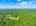 Blurred preview of media: 1-926-0064