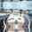 Blurred preview of media: Dorie Lu-24