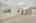 Blurred preview of media: 7719 Jared Way 00019