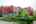Blurred preview of media: 2