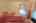 Blurred preview of media: IMG_5630_1_2