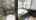 Blurred preview of media: Jarett-Mutts-Photography-06082018_081937