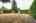 Blurred preview of media: IMG_6262 copy 2