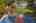 Blurred preview of media: Aerial 04