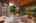 Blurred preview of media: 1-61