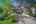 Blurred preview of media: DSC09004 (1)