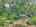 Blurred preview of media: DJI_20250602145302_0589_D_90_D_91_D_easyHDR