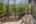 Blurred preview of media: 334 N Pine Meadows Rd - 46