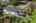 Blurred preview of media: Aerial 05
