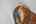 Blurred preview of media: DSC07899