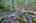 Blurred preview of media: 9zp