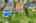 Blurred preview of media: 005