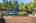 Blurred preview of media: 1-17