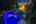 Blurred preview of media: 4Sept0025