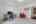 Blurred preview of media: 022