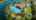 Blurred preview of media: DJI_0673-2