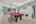 Blurred preview of media: Basement5