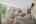 Blurred preview of media: 431-glen-ridge-road-highland-lakes-nj-house-013