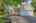 Blurred preview of media: Nerine_005