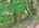 Blurred preview of media: DJI_20260702124814_0588_D_89_D_90_D_easyHDR