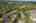 Blurred preview of media: Silver Ridge 08
