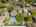 Blurred preview of media: 2-3
