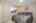 Blurred preview of media: 1-36
