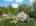Blurred preview of media: 9 Foster Street Drone 0006