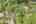 Blurred preview of media: 2-0_SW_Upper_Dr_vacantlot
