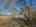 Blurred preview of media: aaed6cf9-28f0-4bd6-81a1-28fbef187a1b