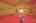 Blurred preview of media: IMG_2224_5_6