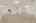 Blurred preview of media: 9