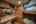 Blurred preview of media: Miss B Haven-34